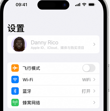 新华镇appleID维修服务iPhone设置中Apple ID显示为灰色无法使用 