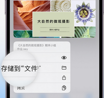 新华镇apple维修中心分享iPhone文件应用中存储和找到下载文件