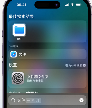 新华镇apple维修中心分享iPhone文件应用中存储和找到下载文件 