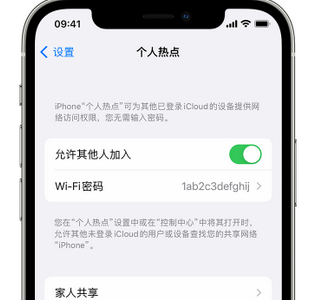 新华镇apple服务站点分享iPhone上个人热点丢失了怎么办