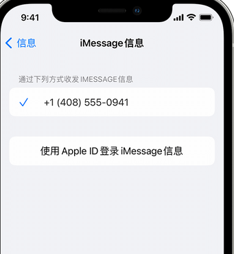 新华镇apple维修iPhone上无法正常发送iMessage信息