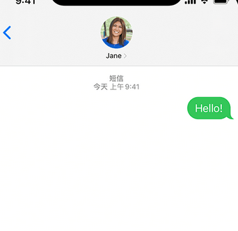 新华镇apple维修iPhone上无法正常发送iMessage信息