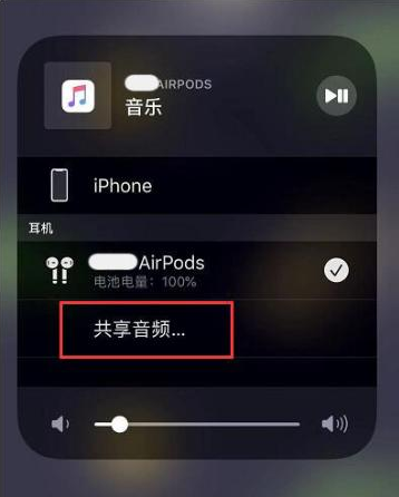 新华镇苹果14音频维修点分享iPhone14音频共享设置方法 