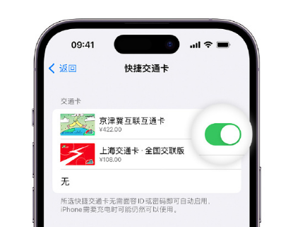 新华镇apple维修点分享iPhone上更换Apple Pay快捷交通卡手绘卡面 