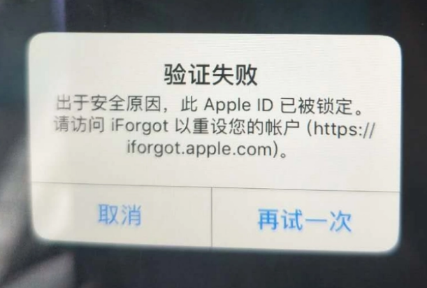 新华镇iPhone维修分享iPhone上正常登录或使用AppleID怎么办 