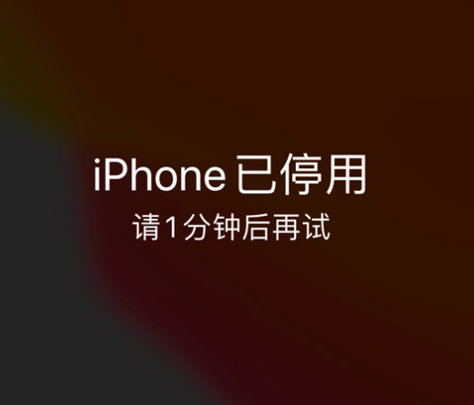 新华镇苹果手机维修分享:iPhone 显示“不可用”或“已停用”怎么办？还能保留数据吗？ 