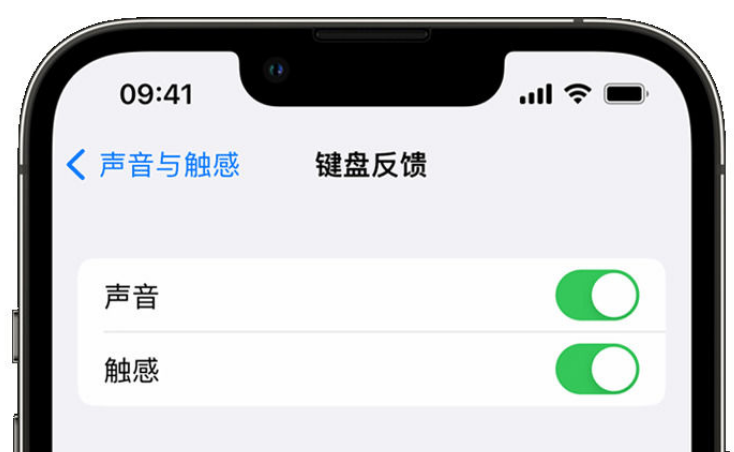 新华镇苹果手机维修分享iPhone 14触感键盘使用方法 