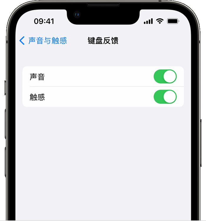 新华镇苹果14维修店分享如何在 iPhone 14 机型中使用触感键盘 