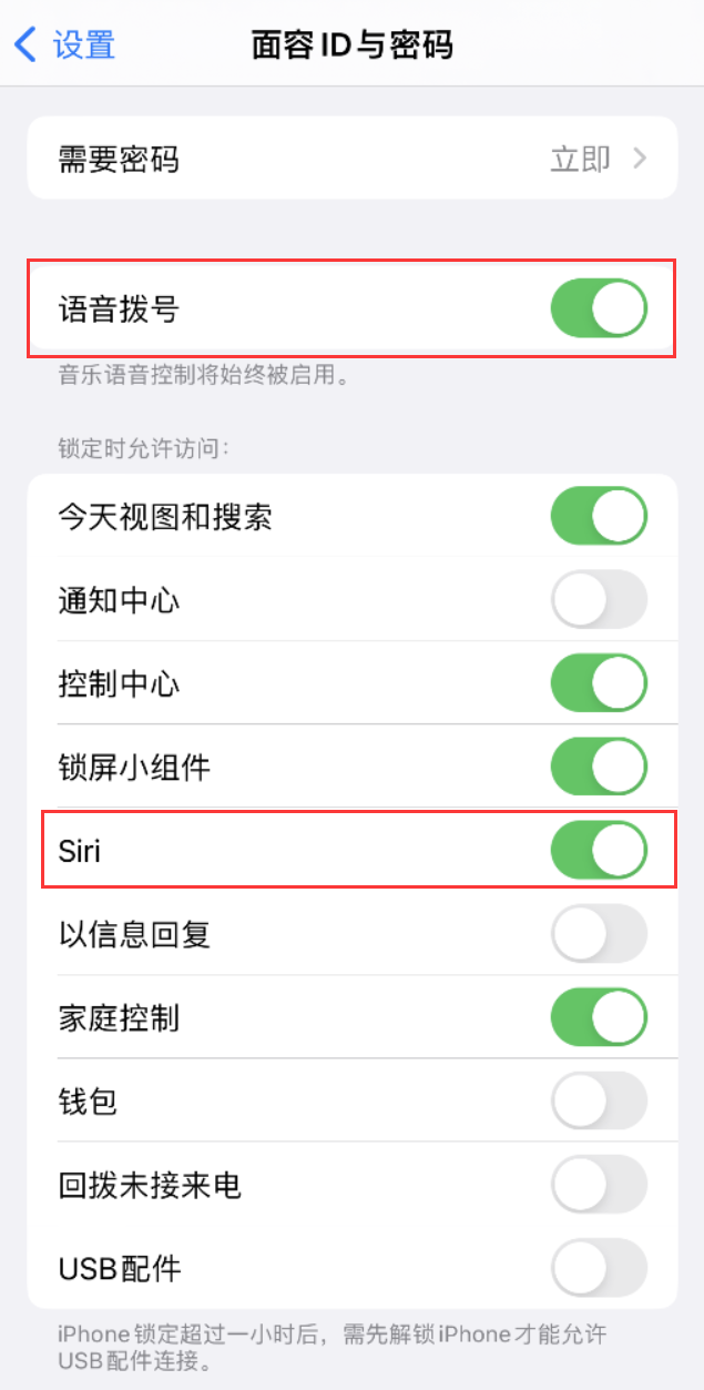 新华镇苹果维修网点分享不解锁 iPhone 的情况下通过 Siri 拨打电话的方法 