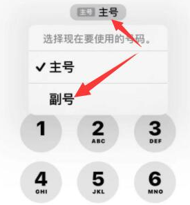 新华镇苹果14维修店分享iPhone 14 Pro Max使用副卡打电话的方法 