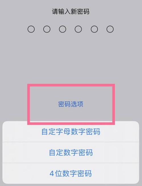 新华镇苹果14维修分享iPhone 14plus设置密码的方法 