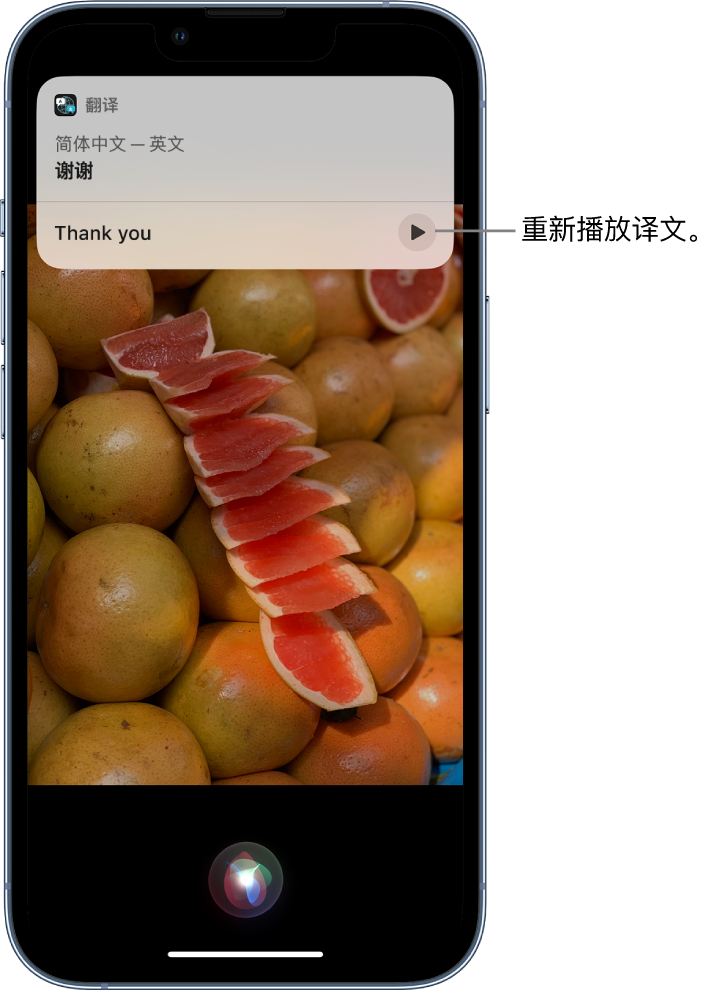 新华镇苹果14维修分享 iPhone 14 机型中使用 Siri：了解 Siri 能帮你做什么 