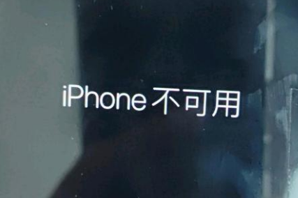 新华镇苹果服务网点分享锁屏界面显示“iPhone 不可用”如何解决 