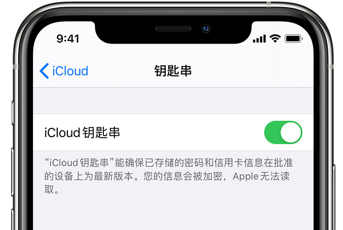 新华镇苹果手机维修分享在 iPhone 上开启 iCloud 钥匙串之后会储存哪些信息 